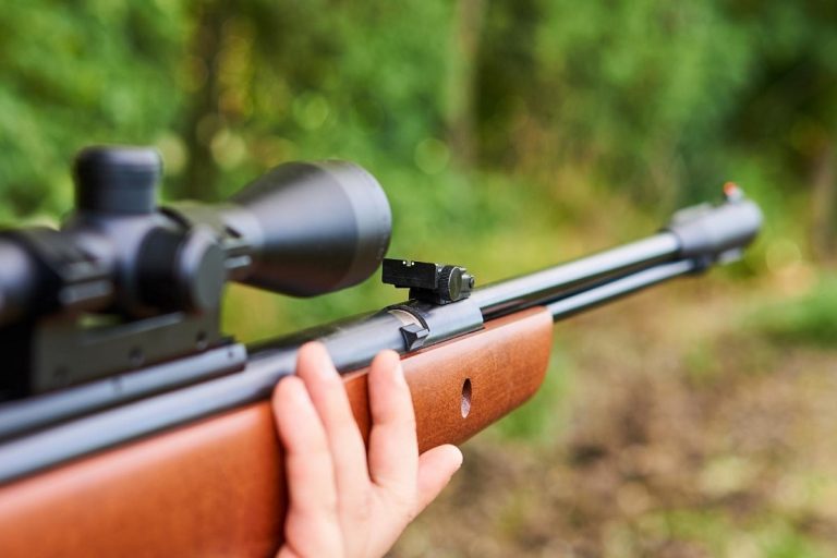 The Quietest Air Rifles