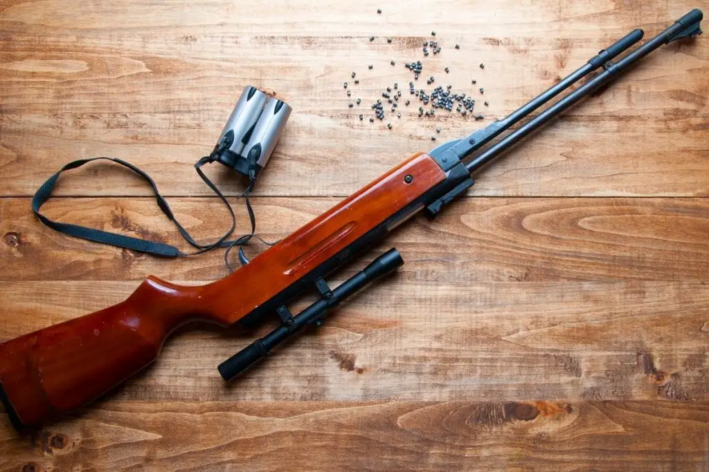 The Best Survival Pellet Guns