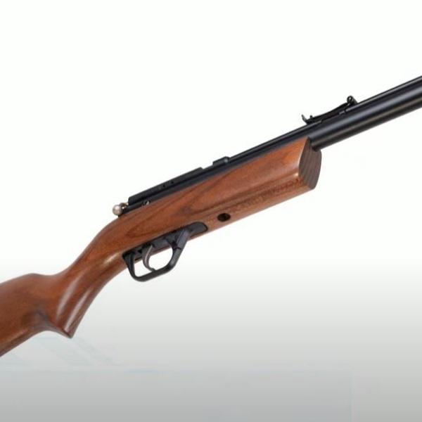 Are Benjamin Air Guns Good for Pest Control?