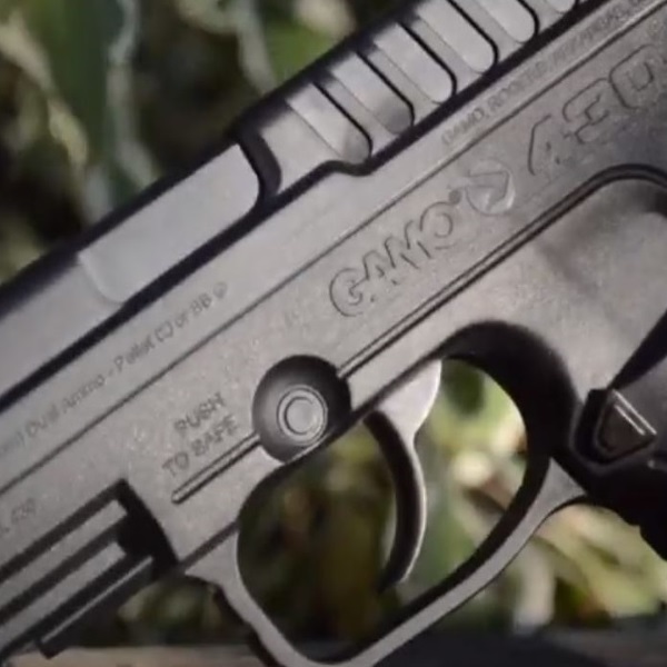 How Far Can a Gamo BB Gun Shoot?