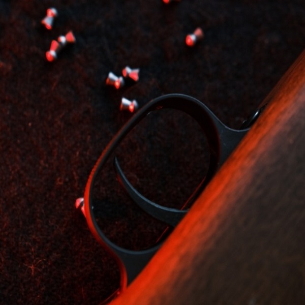 What Are The Best Pellet Gun Calibers for Hunting?