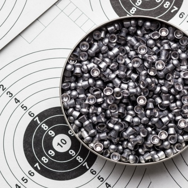 Pellet Gun Games for Beginners