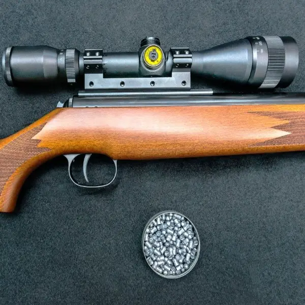 The Best Pellet Gun Scopes for Target Practice