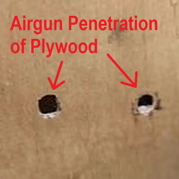 Air Gun Plywood
