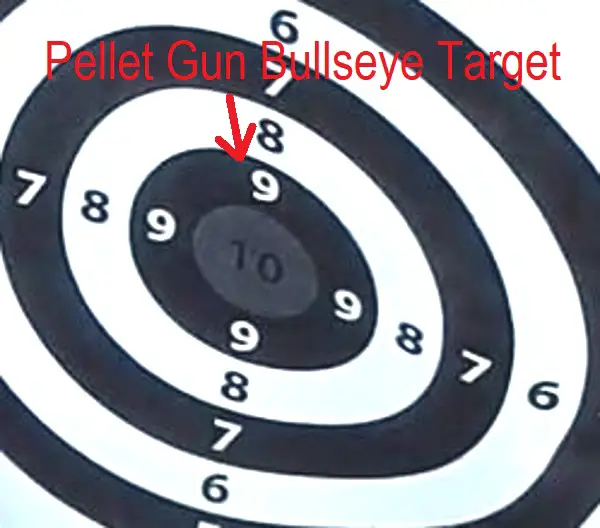 Pellet Gun Bullseye Target