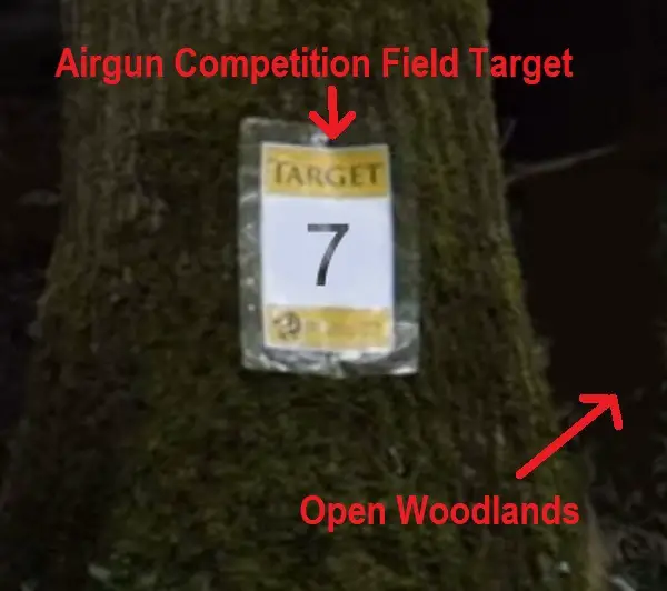 Airgun Field Competition Target