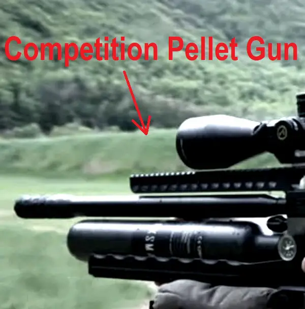 Competition Pellet Gun