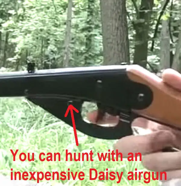 Daisy Airgun Hunting
