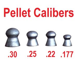 What Are the Different Calibers of Pellet Guns? - AirgunRanger.com